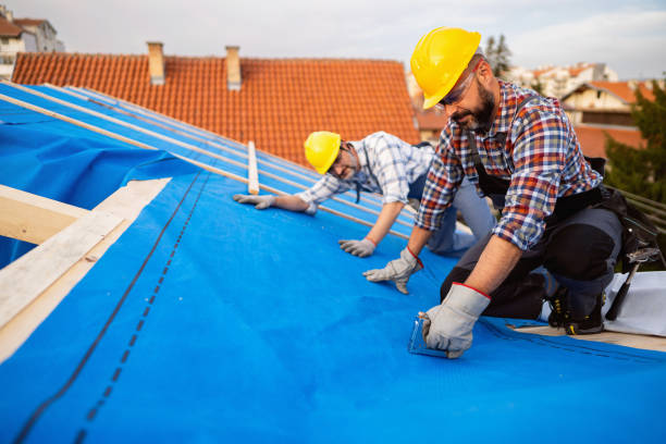 Best Roof Gutter Cleaning  in Mayodan, NC